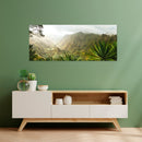 Cuadro Decorativo México Paisaje agavero llanura