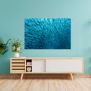 Cuadro Decorativo México Grupo de peces