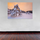 Cuadro Decorativo Invierno, pino congelado