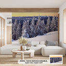 Cuadro Decorativo Invierno, pinos en amanecer