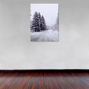 Cuadro Decorativo Invierno, pinos congelados en avenida