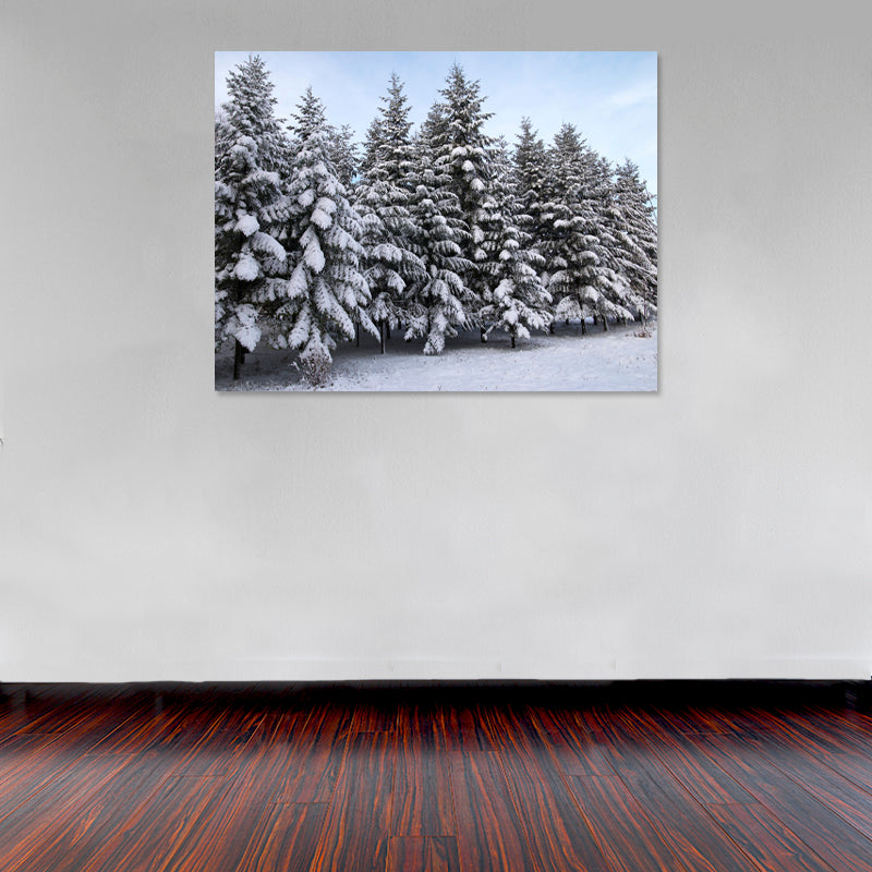 Cuadro Decorativo Invierno, pinos congelados