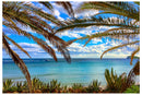 Cuadro Decorativo Playa, a través de las palmeras
