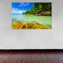 Cuadro Decorativo Playa, estrella de mar