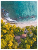 Decorativo Playa, palmeras vista aérea