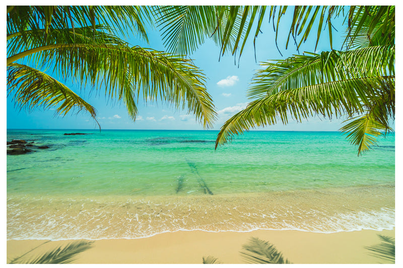 Cuadro Decorativo, playa turquesa y palmeras