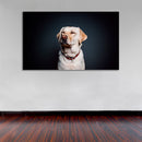 Cuadro Decorativo Labrador