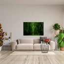 Cuadro Decorativo, Bosque a profundidad