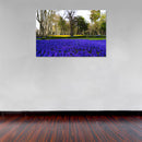 Cuadro Decorativo Primavera,Pradera de lavandas