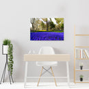 Cuadro Decorativo Primavera,Pradera de lavandas