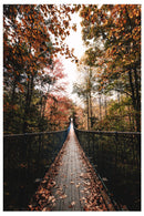 Cuadro Decorativo Otoño, puente colgante