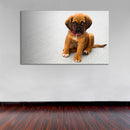Cuadro Decorativo Puppy