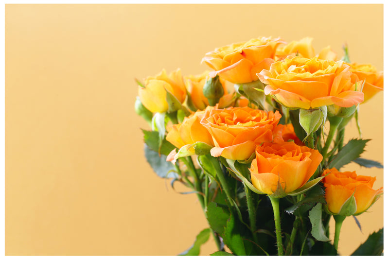 Cuadro Decorativo Floral, Ramo de rosas amarillas