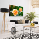 Cuadro Decorativo Floral, rosas amarillas