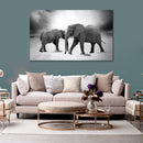 Cuadro Decorativo Elefantes