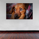 Cuadro Decorativo Perrito