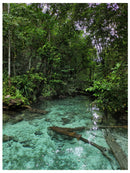 Cuadro Decorativo, Estanque cristalino en la selva