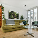 Cuadro Decorativo, Selva Huasteca potosina