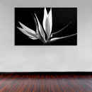 Cuadro Decorativo Floreciendo