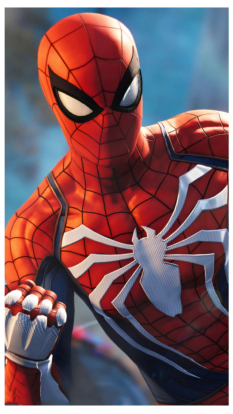 Cuadro Decorativo Película, Spiderman el hombre araña