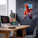 Cuadro Decorativo Película, Spiderman el hombre araña