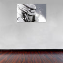 Cuadro Decorativo Película, Star Wars soldier