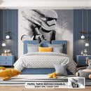 Cuadro Decorativo Película, Star Wars soldier