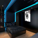 Cuadro Decorativo Película, Star Wars white soldier