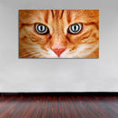 Cuadro Decorativo Gato Mirando