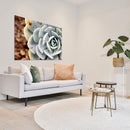 Cuadro Decorativo Floral, Suculenta verde azúl