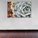 Cuadro Decorativo Floral, Suculenta verde azúl