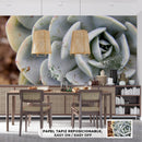 Decorativo, suculenta verde azul