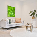 Cuadro Decorativo Floral, Suculenta verde, vertical