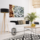 Cuadro Decorativo Floral, Suculenta verde azúl