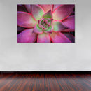 Cuadro Decorativo Floral, suculenta rosada