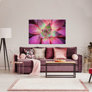 Cuadro Decorativo Floral, suculenta rosada