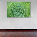 Cuadro Decorativo Floral, Suculenta Verde abierta
