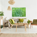 Cuadro Decorativo Floral, Suculenta Verde abierta