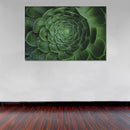 Cuadro Decorativo Floral, Suculenta verde oscura, abierta