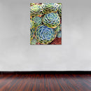 Cuadro Decorativo Floral, Suculentas amarillosas