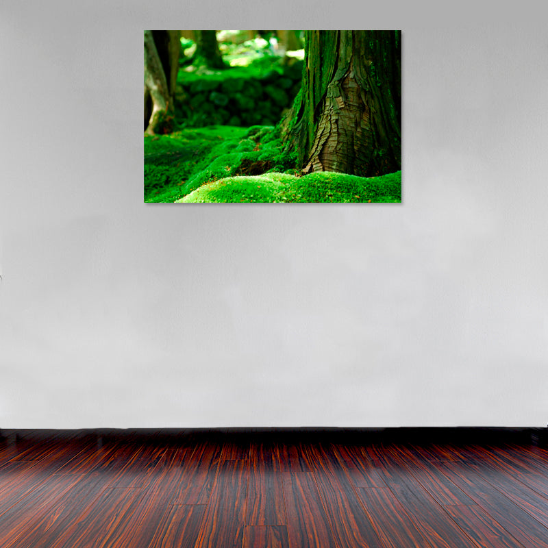 Cuadro Decorativo Bosques y Selvas, Textura de tronco