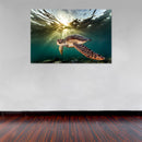 Cuadro Decorativo tortuga en el mar