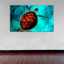 Cuadro Decorativo Tortuga marina