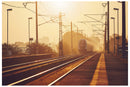 Cuadro Decorativo Tren en el atardecer