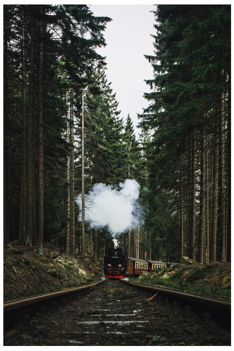 Cuadro Decorativo Tren de vapor en el bosque
