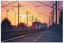 Cuadro Decorativo Tren de pasajeros, atardecer