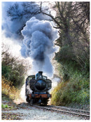 Cuadro Decorativo Tren de vapor