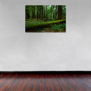 Cuadro Decorativo Bosques y Selvas, Tronco caído