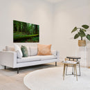 Cuadro Decorativo Bosques y Selvas, Tronco caído