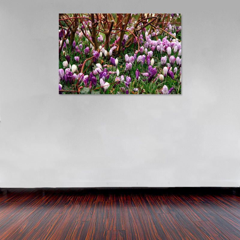 Cuadro Decorativo Primavera, Tulipanes morados